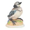 Image 1 : BOEHM - BABY BLUE JAY