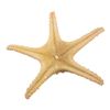 Image 2 : NATURAL STARFISH LARGE