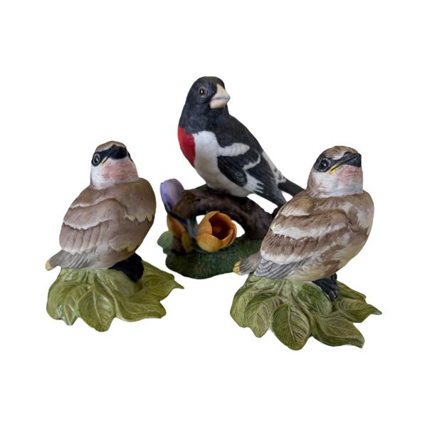 LOT OF 3 BIRDS