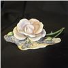 Image 1 : BOEHM - BONE PORCELAIN ROSE