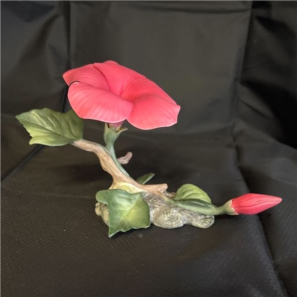 BOEHM - PORCELAIN FLOWER