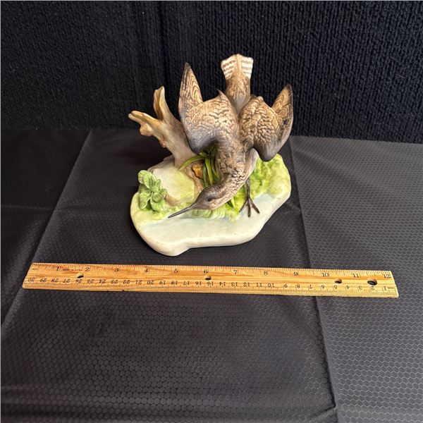 CYBIS - SOLITARY SANDPIPER