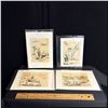 Image 1 : SET OF 4 HAND DRAWN IMAGES