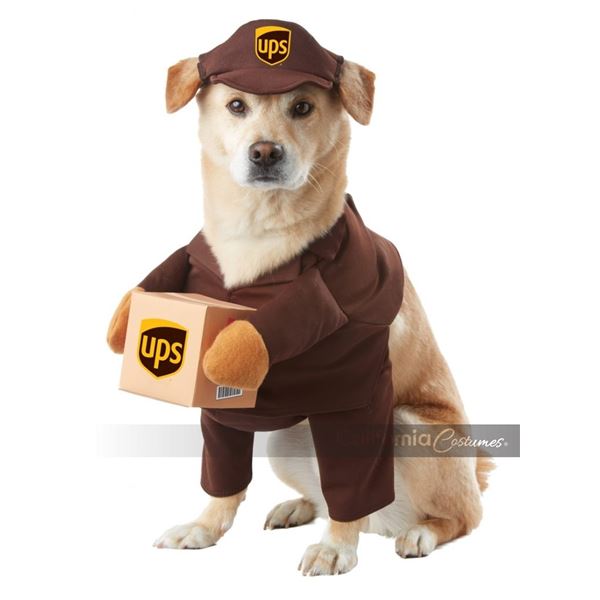 NEW CALIFORNIA COSTUMES USPPAL LARGE DOG OUTFIT
