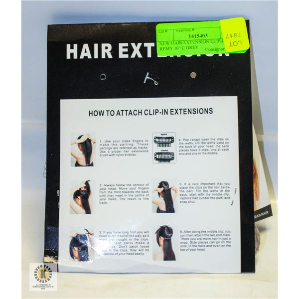NEW HAIR EXTENSION CLIP-IN REMY 10" C GREY