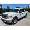 Image 1 : FORD F150 2014 T-2 DAYS