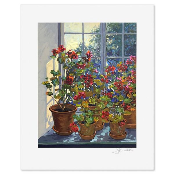 Geraniums by Powell John