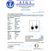 Image 4 : 32.55 ctw Blue Sapphire and 2.90 ctw Diamond 14K White Gold Earrings