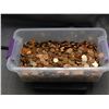 Image 1 : 24lbs of Canadian Pennies