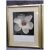 Image 2 : Lot of 2 Harold Feinstein Floral Art Prints, Framed 25" x 31" "Tulips" and " Magnolia"
