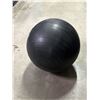 Image 1 : Black Exercise Ball