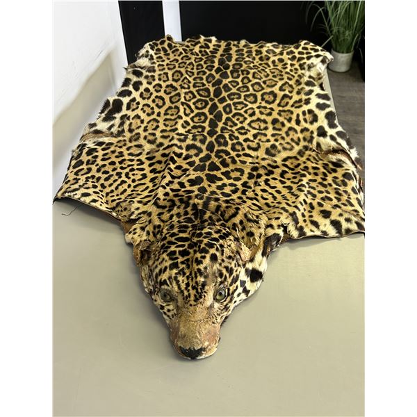 Vintage Jaguar Animal Hide Taxidermy Rug
