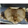 Image 4 : Lot of Assorted Fur Pelts Beaver, Etc