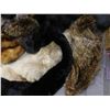 Image 2 : Lot of Assorted Vintage Furs Collars, Scarfs, Pelts, etc