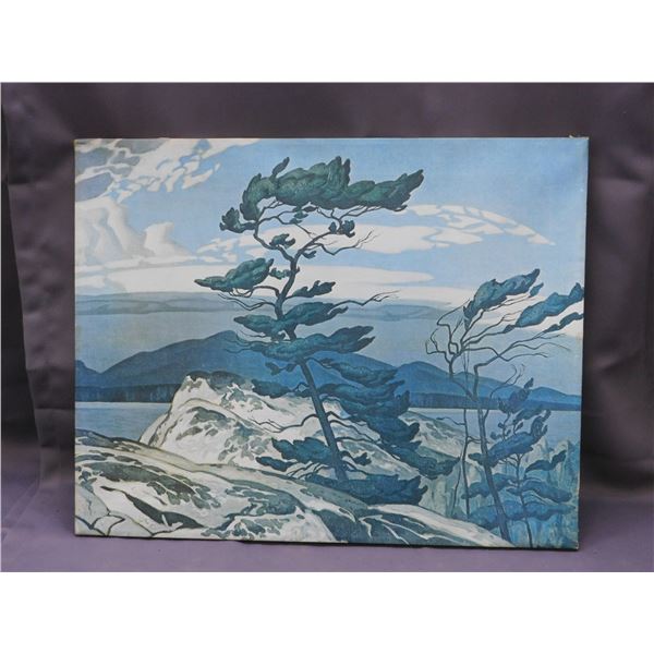 AJ Casson White Pine Textured Canvas Print Group of Seven 2ft x 19"
