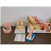Image 1 : Lot of 4 Medical Dioramas Educational Teeth, Brain, Ear