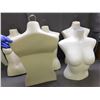 Image 2 : Lot of 4 Female Torso Hanging Mannequins and 1 Standing Torso