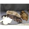 Image 1 : Lot of 4 Animal Fur Pelts, Neck Scarfs / Wraps