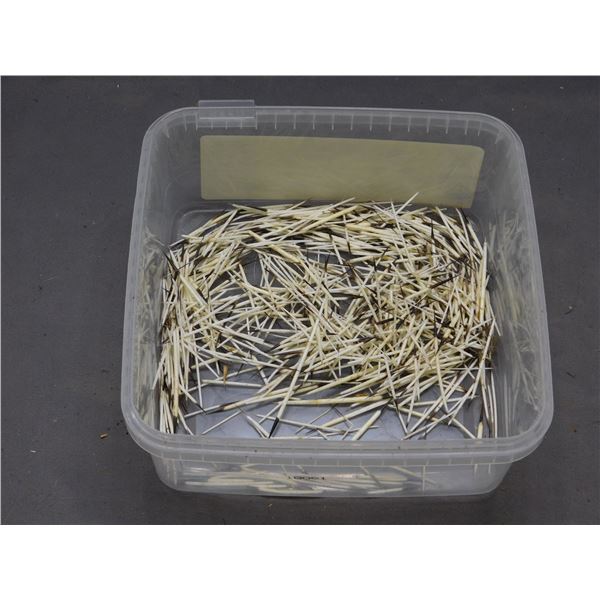 Container of Porcupine Needles, Quills