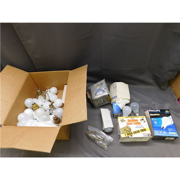 Box of Lightbulbs Assorted Sizes & Styles