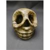 Image 2 : Carved Crystal / Stone Skull (pre-columbian?)