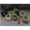 Image 1 : Potted Succulent Fake Plants Decorative, Vase, etc