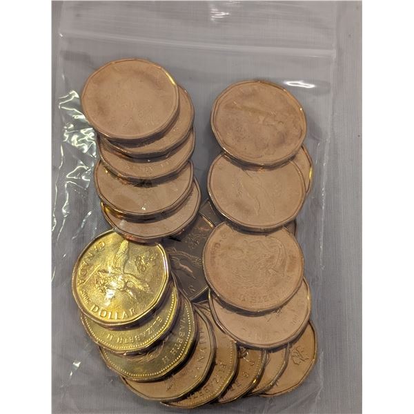 22 Olympic Uncirculated Settling Loon Loonie Coins Dollars