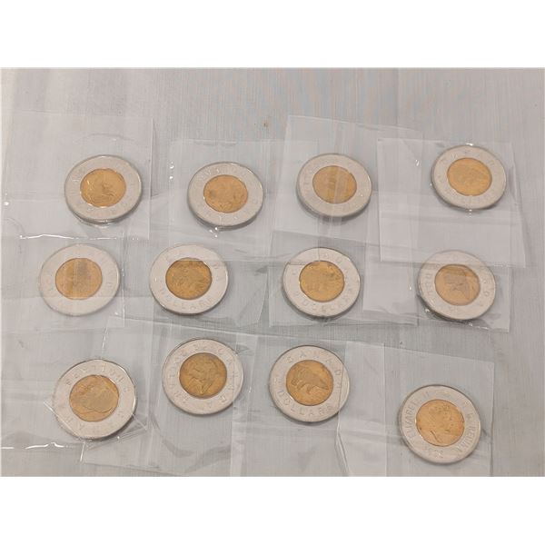 12 Uncirculated 1996 First Year Issued Polar Bear Toonie