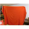 Image 1 : Mohawk "Te Pee" Vintage Red Wool Blanket