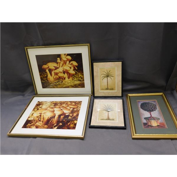 Lot of 5 Framed Wall Art Plants & Mushroom Art & Photography Prints