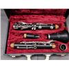 Image 2 : Vigo Clarinet in Case