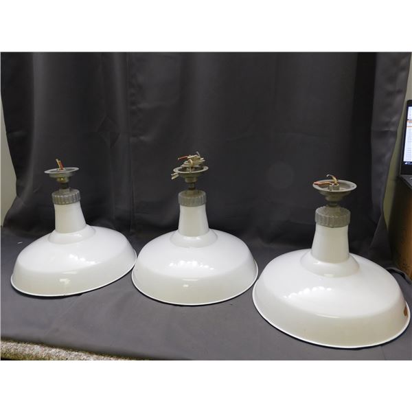 3 Amalgamated 16" Porcelain Light Fixture