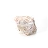 Image 10 : Holbrook, Arizona Triassic Petrified Wood Samples