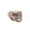Image 2 : Holbrook, Arizona Triassic Petrified Wood Samples