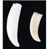 Image 1 : Antique Sperm Whale Teeth Matching Pair