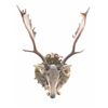 Image 2 : 19th C. Habsburg Fallow Deer Eckartsau Castle