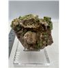 Image 1 : 3.5 INCH LIGHT GREEN FOREST LIKE PHROMOPHITE