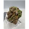 Image 3 : 3.5 INCH LIGHT GREEN FOREST LIKE PHROMOPHITE