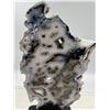 Image 9 : 7 INCH BLACK AND WHITE NATURAL FORMATION AGATE SLICE