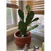 Image 1 : artificial cactus