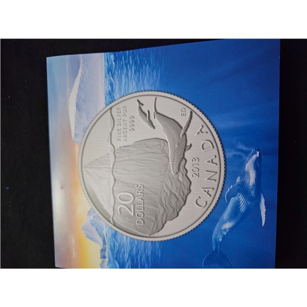 $20 Silver canadian coin