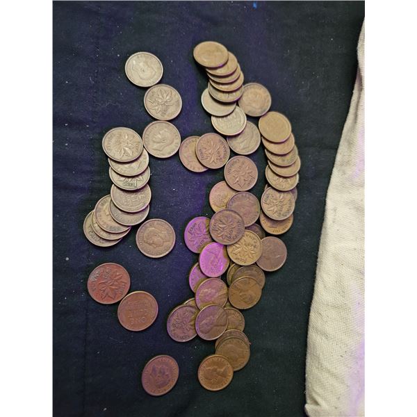Bag of pennies with canvas bag
