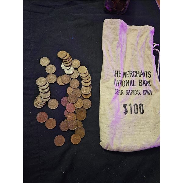Bag of pennies with canvas bag