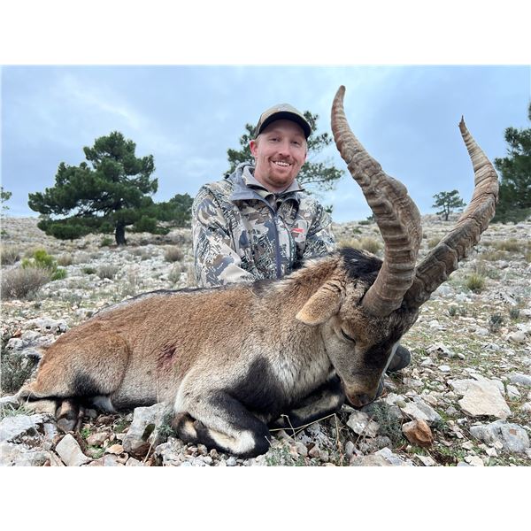 Double trouble in Spain 2 Ibex for 2 Hunters! Bring your wives for immense touring options!