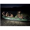 Image 3 : Alaskan Caribou float hunt for 2!
