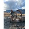 Image 5 : Alaskan Caribou float hunt for 2!