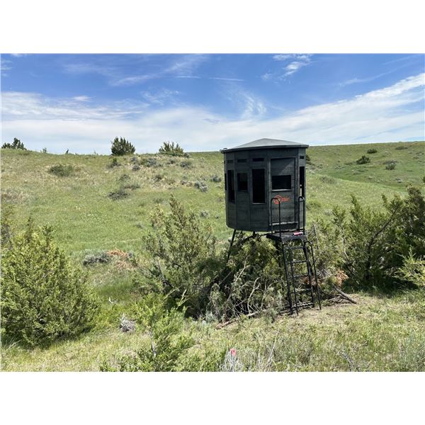 The 39th Chance at The 360 Ground Blind