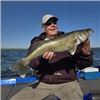 Image 8 : Lake Sakakwea Walleyes and more with Liebel's Guide Service
