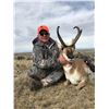 Image 1 : Wyoming Antelope hunt with Forbes Outfitting for 2026