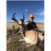Image 4 : Wyoming Antelope hunt with Forbes Outfitting for 2026